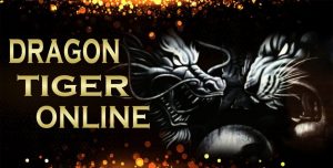 Cara Main Dragon Tiger Online Untuk Pemula